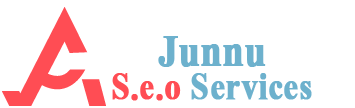 Junnu Seo Services